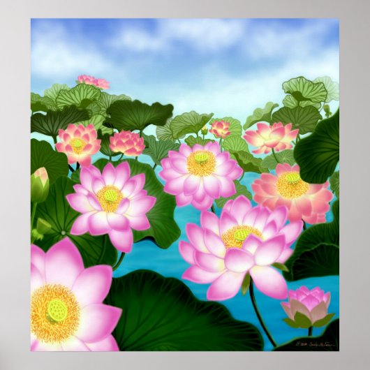 Sacred Lotus Blume Poster (Vorne)