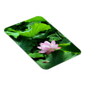 Sacred Lotus: Japan Magnet (Rechte Seite)