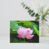 Sacred Lotus: Japan Postkarte (Stehend Vorderseite)