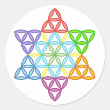 Sacred Star - Star of Life, 2/3D-CF.