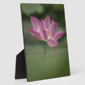 Sacro Pink Lotus Blossom - Serene Zen Kunst, Dicht Fotoplatte (Seite)