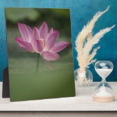 Sacro Pink Lotus Blossom - Serene Zen Kunst, Dicht Fotoplatte (Seite)
