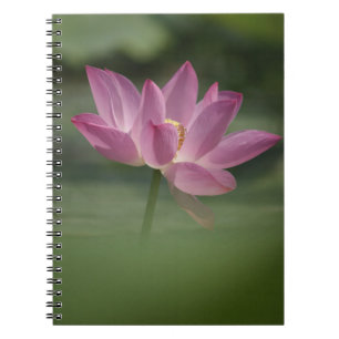 Sacro Pink Lotus Blossom - Serene Zen Kunst, Dicht Notizblock