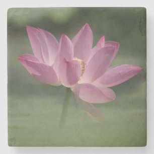 Sacro Pink Lotus Blossom - Serene Zen Kunst, Dicht Steinuntersetzer