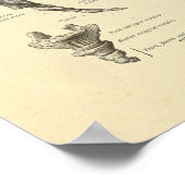 Sacrum Coccyx Anatomie Wirbelknochen drucken Poster (Ecke)