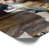 Sad and Lonely Pets Poster Print: My Owner (Ecke)