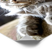 Sad and Lonely Pets Poster Print: One Day (Ecke)