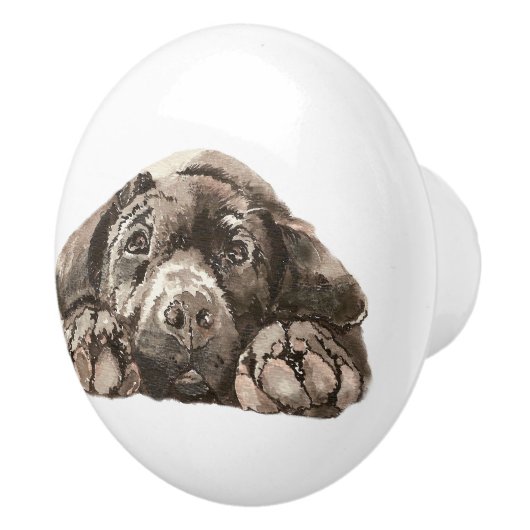 Sad Black Labrador Retriever Hund Tier Tier Keramikknauf (Rechts)