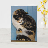 Sad Calico Cat verspätete Geburtstag Karte (Gelbe Blume)