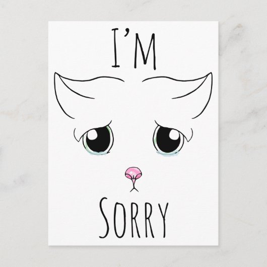 Sad Cat Face: Ich bedauere Postkarte (Vorderseite)