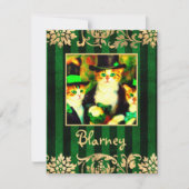 Sad Catnip nicht in der Nähe von Saint Catrick's D Mitteilungskarte (Vorderseite)