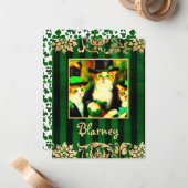 Sad Catnip nicht in der Nähe von Saint Catrick's D Mitteilungskarte (Vorderseite/Rückseite Beispiel)