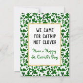 Sad Catnip nicht in der Nähe von Saint Catrick's D Mitteilungskarte (Rückseite)