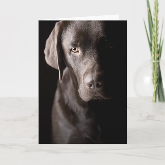 Sad Chocolate Labrador Karte (Vorderseite)