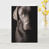 Sad Chocolate Labrador Karte (Gelbe Blume)