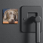 Sad Chocolate Labrador Magnet