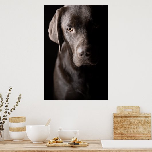 Sad Chocolate Labrador Puppy Poster (Küche)
