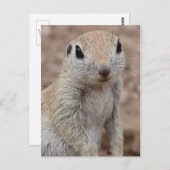 Sad Eichhörnchen Postkarte (Vorne/Hinten)