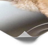 Sad Eyes Poster (Ecke)