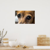 Sad Eyes Poster (Küche)