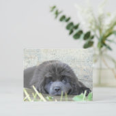 Sad Eyes Postkarte (Stehend Vorderseite)