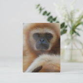 Sad Gibbon Postcard Postkarte (Stehend Vorderseite)