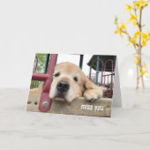Sad Golden Retriever Hund Miss You Karte (Gelbe Blume)