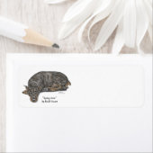 Sad Guilty Looking Doberman (Insitu)