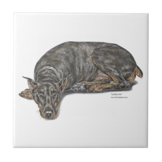 Sad Guilty Looking Doberman Fliese (Vorderseite)