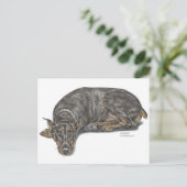 Sad Guilty Looking Doberman Postkarte (Stehend Vorderseite)
