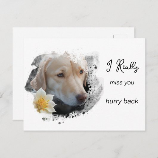 *~ Sad Hund AP61 Blume Miss Sie beeilen Postkarte (Vorne/Hinten)