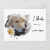 *~ Sad Hund AP61 Blume Miss Sie beeilen Postkarte (Vorderseite)