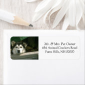 Sad Hund Rücksendeadresse Mail Labels Stickers (Insitu)