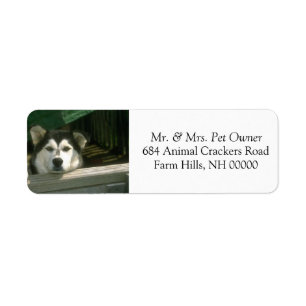 Sad Hund Rücksendeadresse Mail Labels Stickers