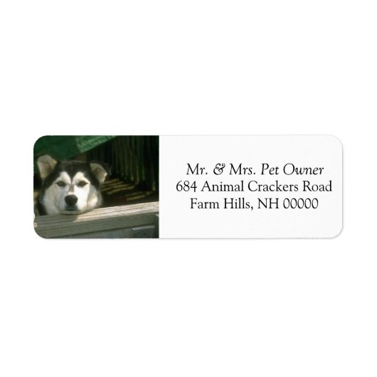 Sad Hund Rücksendeadresse Mail Labels Stickers (Vorne)