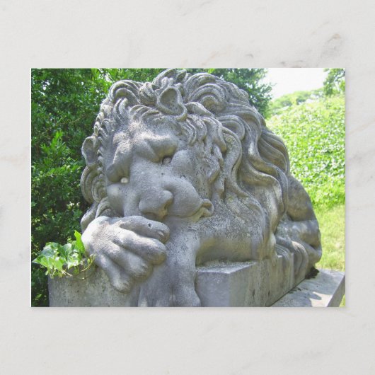 Sad Lion Postcard Postkarte (Vorderseite)