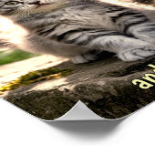 Sad & Lonely Pets Poster Print: Follow Me (Ecke)