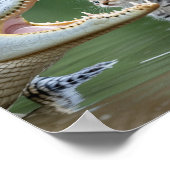 Sad Lonely Pets Poster Print: Mom Are You in There (Ecke)