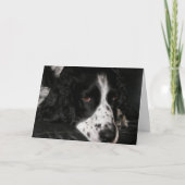 Sad Looking Dog Photo Get Well Karte (Vorderseite)