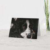 Sad Looking Dog Photo Get Well Karte (Vorderseite)