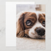 Sad-Mit Augen Cocker Spanierhund Briefpapier (Vorne/Hinten)