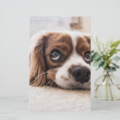 Sad-Mit Augen Cocker Spanierhund Briefpapier (Stehend Vorderseite)