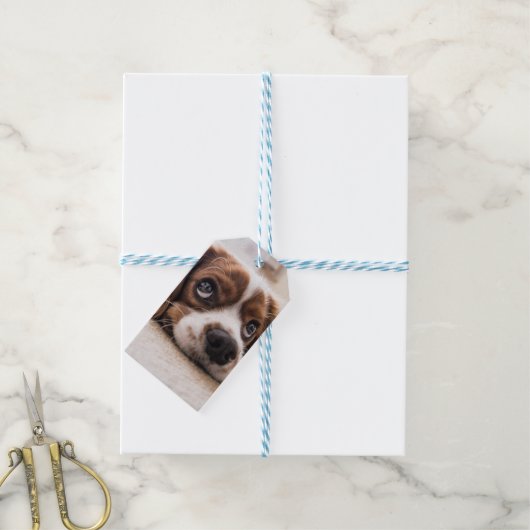 Sad-Mit Augen Cocker Spanierhund Geschenkanhänger (Mit Garn)