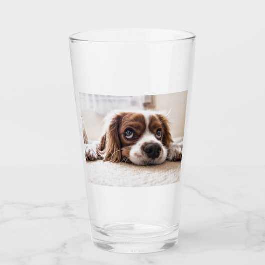 Sad-Mit Augen Cocker Spanierhund Glas (Vorderseite)