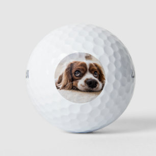 Sad-Mit Augen Cocker Spanierhund Golfball