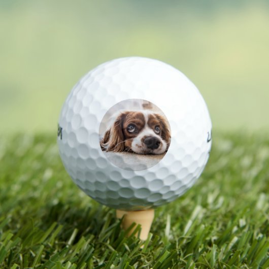 Sad-Mit Augen Cocker Spanierhund Golfball (Insitu T-Shirt)