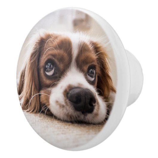 Sad-Mit Augen Cocker Spanierhund Keramikknauf (Rechts)