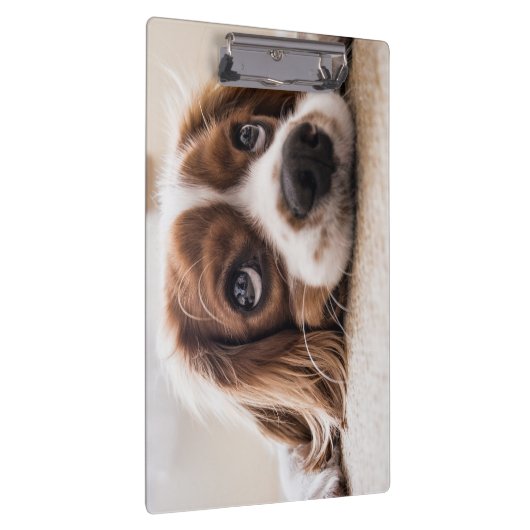 Sad-Mit Augen Cocker Spanierhund Klemmbrett (Rechts)