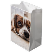 Sad-Mit Augen Cocker Spanierhund Mittlere Geschenktüte (Rückseite Schrägansicht)