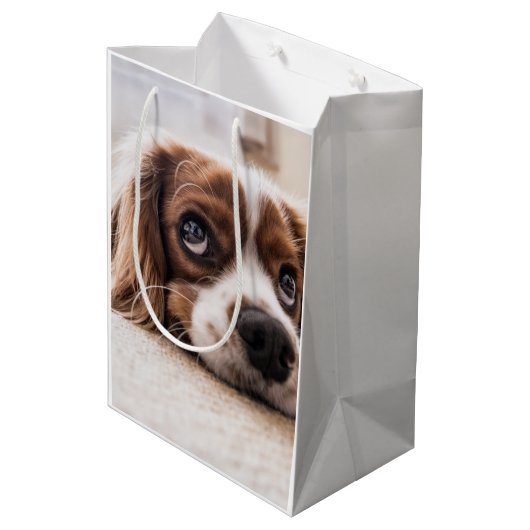 Sad-Mit Augen Cocker Spanierhund Mittlere Geschenktüte (Rückseite Schrägansicht)